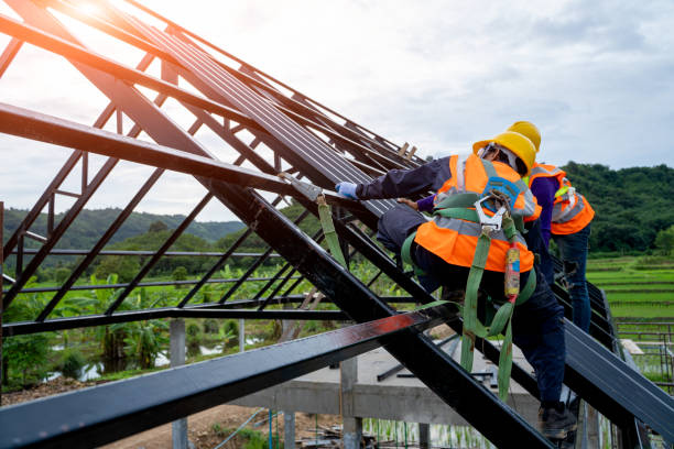 Best Storm Damage Roof Repair  in Savanna, IL