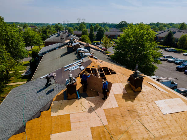 Best Flat Roof Repair Services  in Savanna, IL
