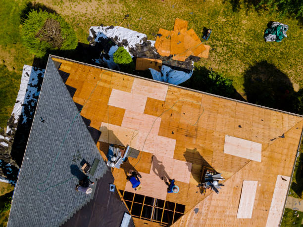 Best New Roof Installation  in Savanna, IL