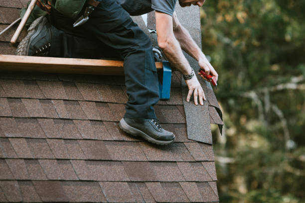 Best Flat Roof Repair Services  in Savanna, IL
